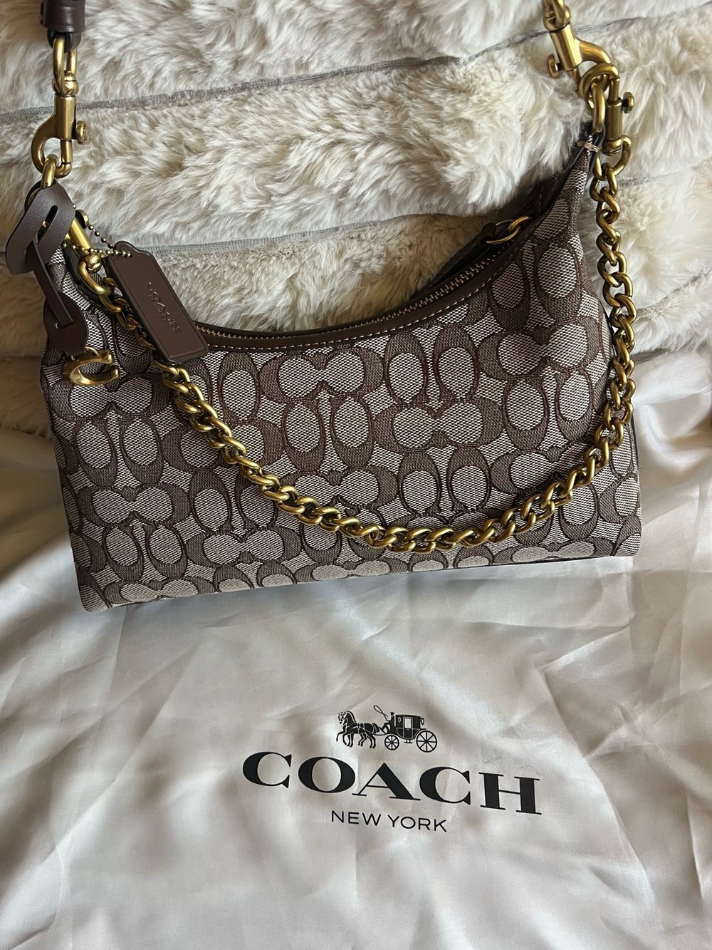 Coach Juliet Shoulder Bag 25 Signature Jacquard